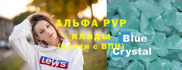 PSILOCYBIN Лиски