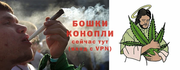 PSILOCYBIN Лиски