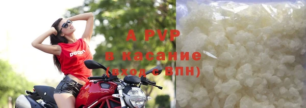 PSILOCYBIN Лиски