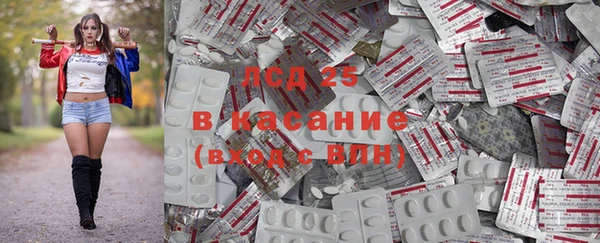 PSILOCYBIN Лиски