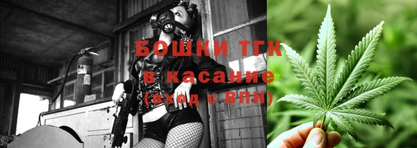 PSILOCYBIN Лиски
