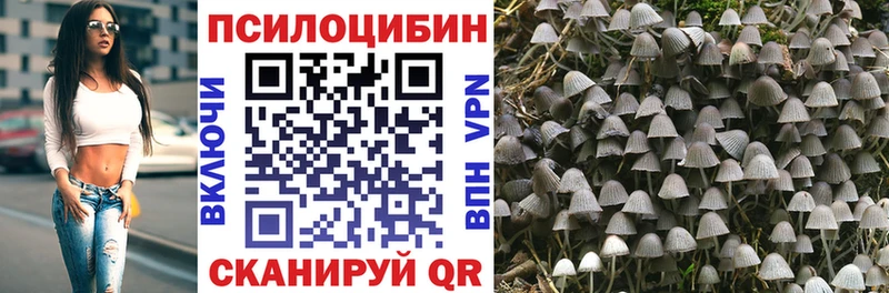 Купить закладки  Лосино-Петровский  Галлюциногенные грибы мухоморы 